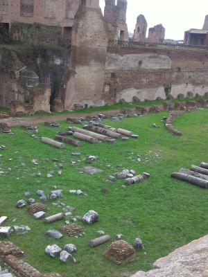 Colosseum group tour with Forum and Palatine Hill - Picture 6