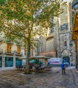 Gothic Quarter, El Born and Sagrada Familia Private Tour