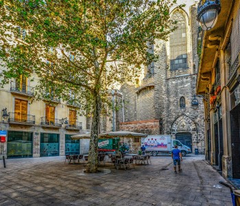 Gothic Quarter, El Born and Sagrada Familia Private Tour