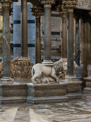 Tour de Siena para niños - Picture 1