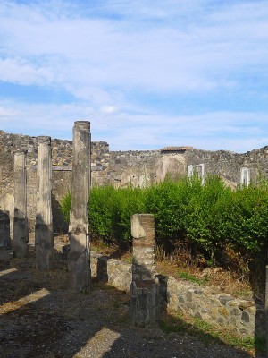 Pompeii & Amalfi Coast Day Trip from Rome - Picture 1