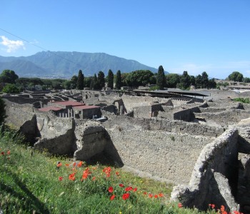 Excursión a Pompeya y Costa Amalfitana para Familias