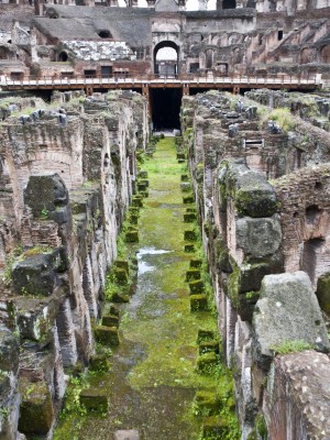 Colosseum and Underground Rome Private Tour - Picture 2