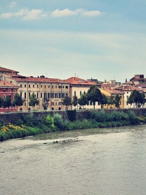 Verona and Valpolicella Day Trip from Venice - Picture 5