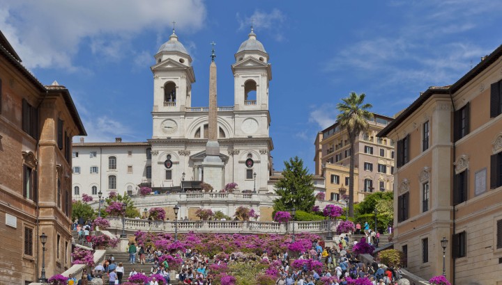 Overall Private Tour of Rome