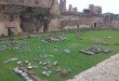 Colosseum group tour with Forum and Palatine Hill