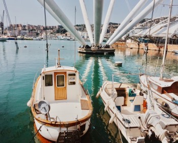 Spend a day in Genova and taste the traditional "Seppie in zimino" (Cuttlefish with chards)