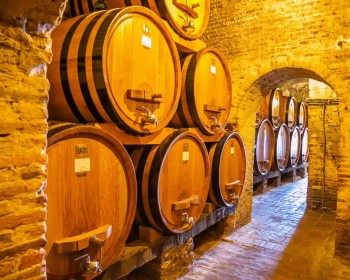 Tours del vino en Toscana: Los Mejores Vinedos para visitar