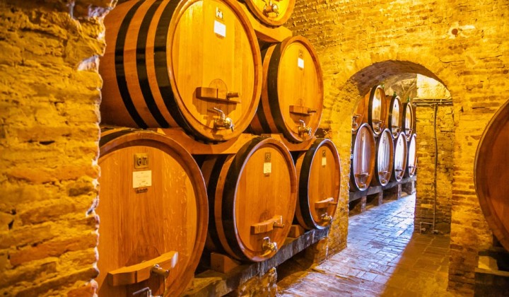 Tours del vino en Toscana: Los Mejores Vinedos para visitar