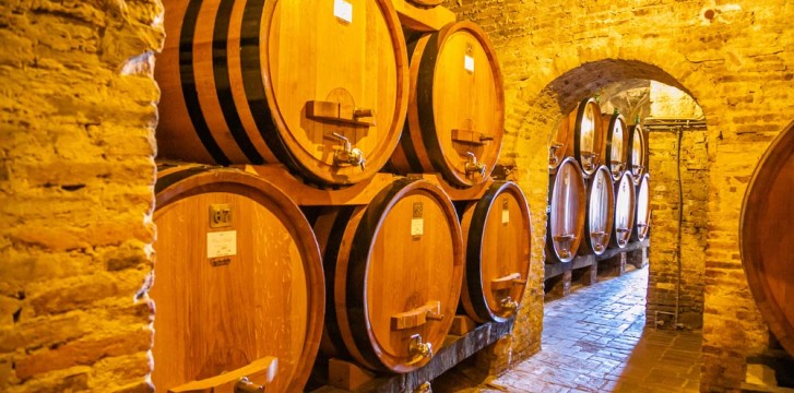 Tuscany Wine Tours: The Best Vineyards to visit in the region