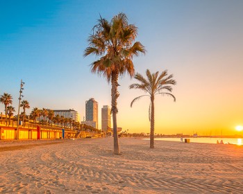 Barcelona’s best beaches:a guide to sun, sand and sea