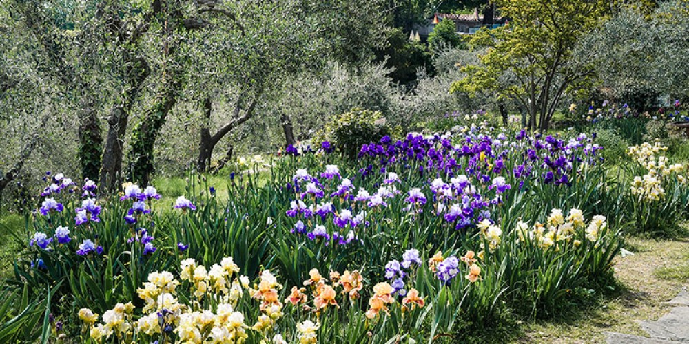 The secret gardens of florence: hidden gems in the city