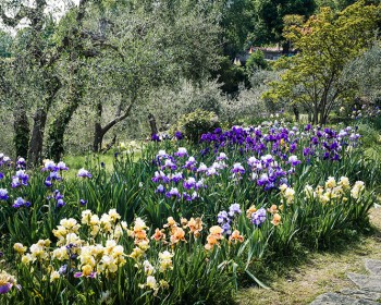 The secret gardens of florence: hidden gems in the city