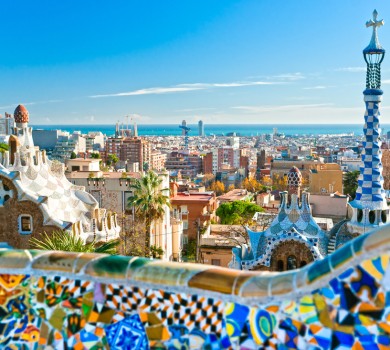 Park Guell and Sagrada Familia Private Tour