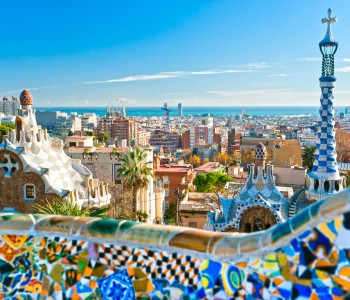 Park Guell and Sagrada Familia Private Tour
